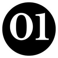 01 (5)